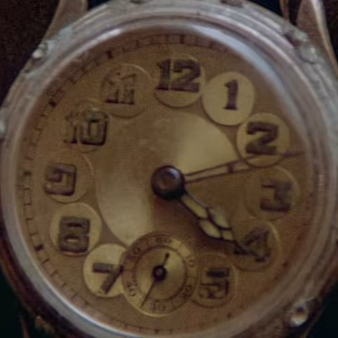 Unidentified watch close-up