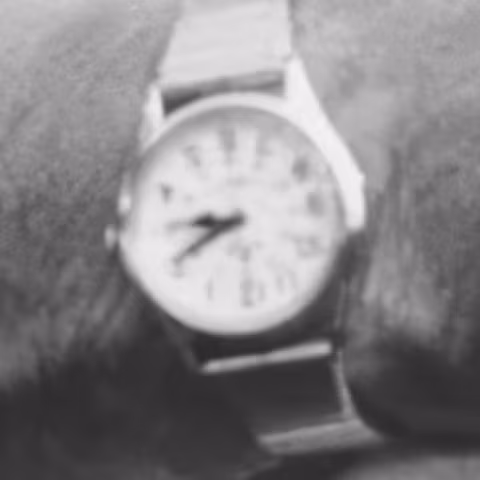 Lorus close-up