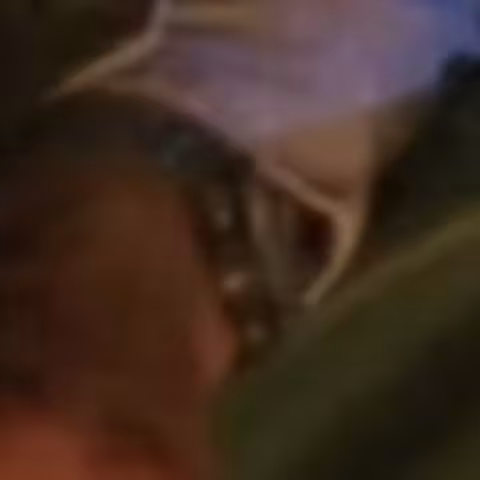Casio close-up