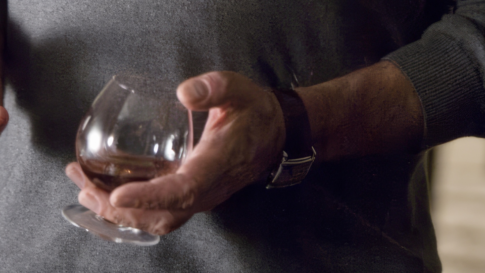 Ben Kingsley wearing Unidentified watch in Elegy