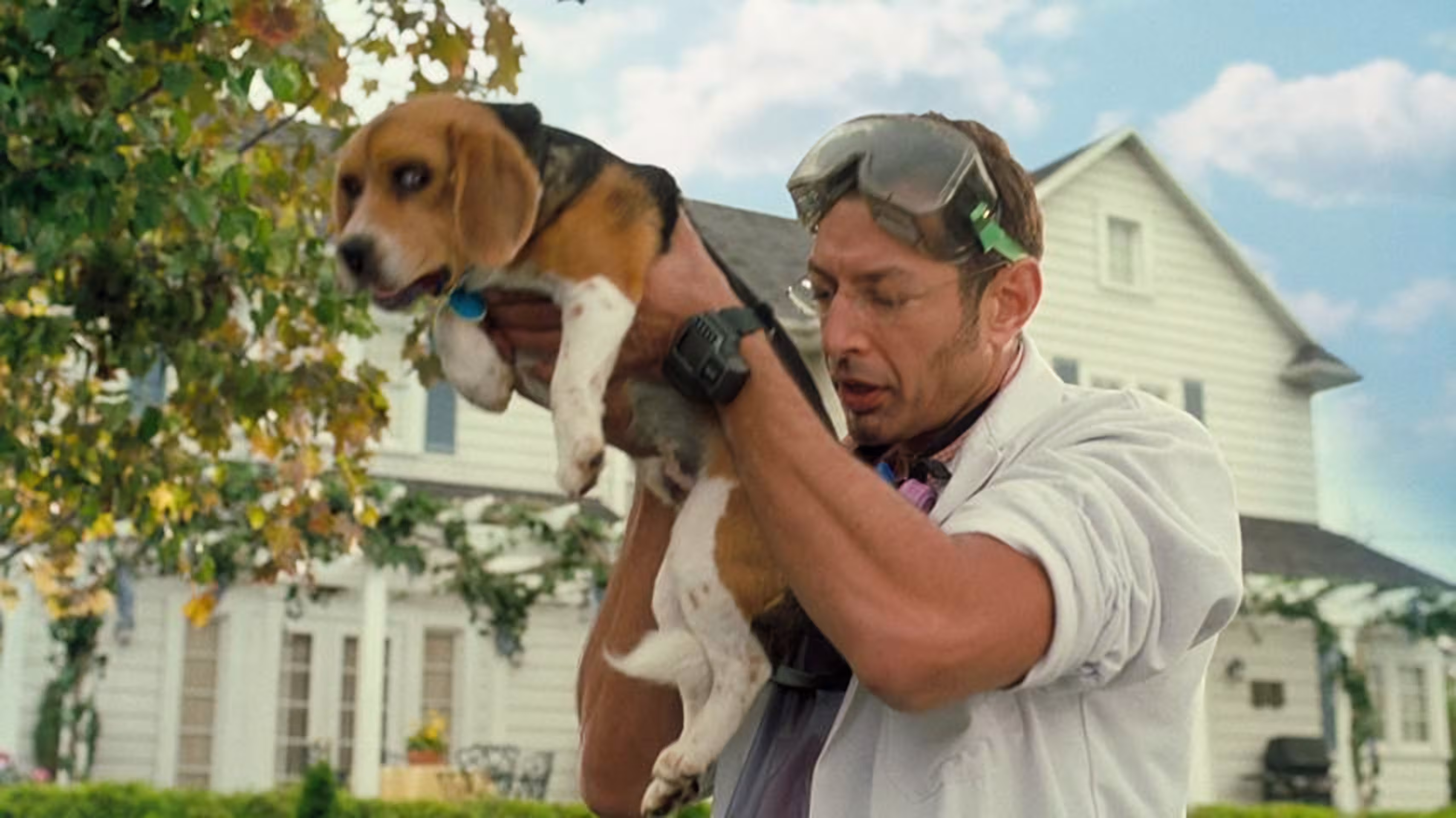 Jeff Goldblum wearing Unidentified watch in Cats & Dogs