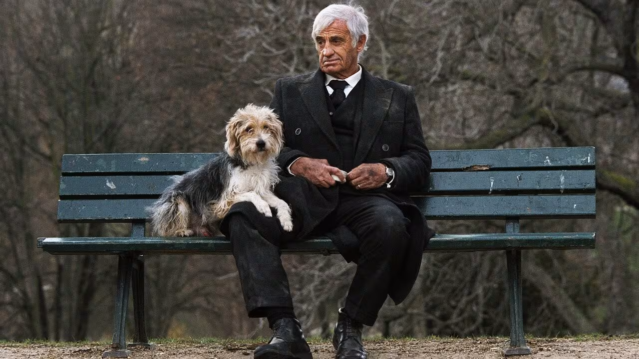 Jean-Paul Belmondo wearing Hamilton Linwood in A Man and His Dog