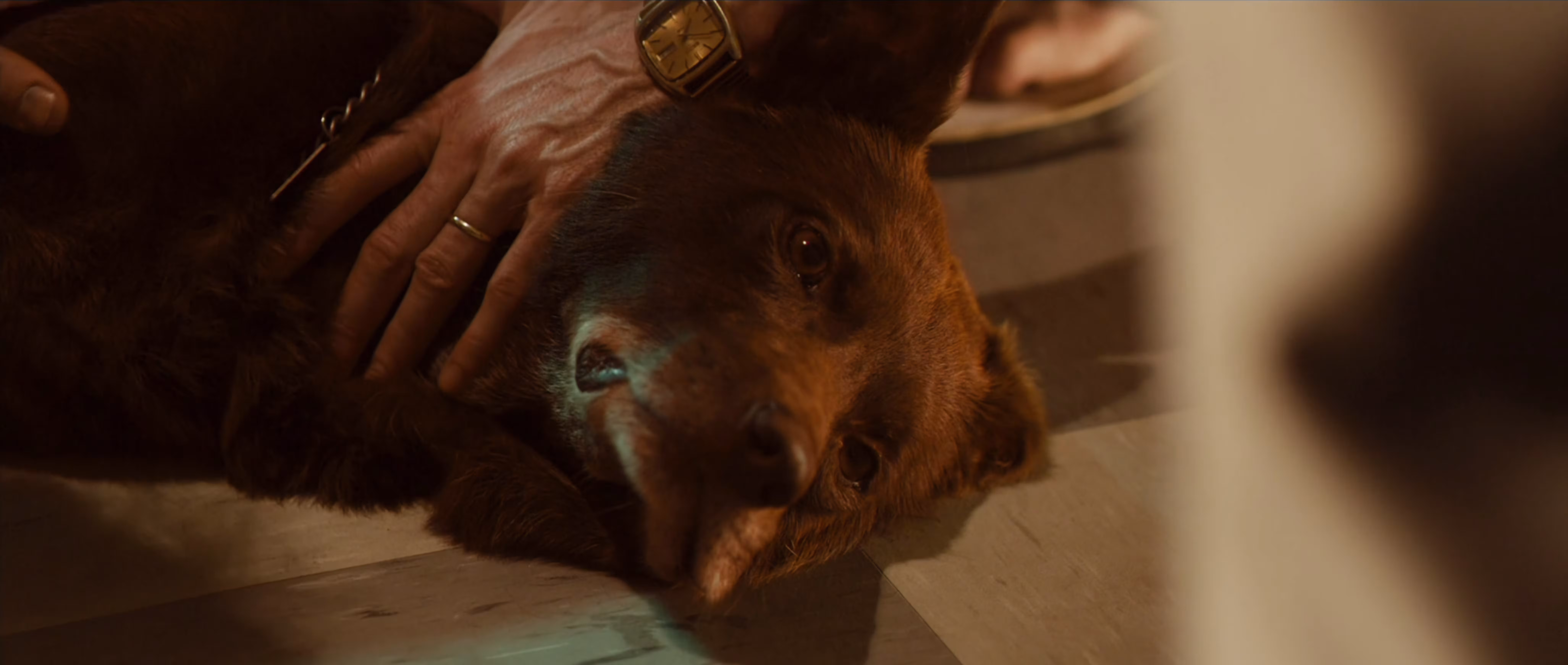 Noah Taylor wearing Unidentified Watch in Red Dog