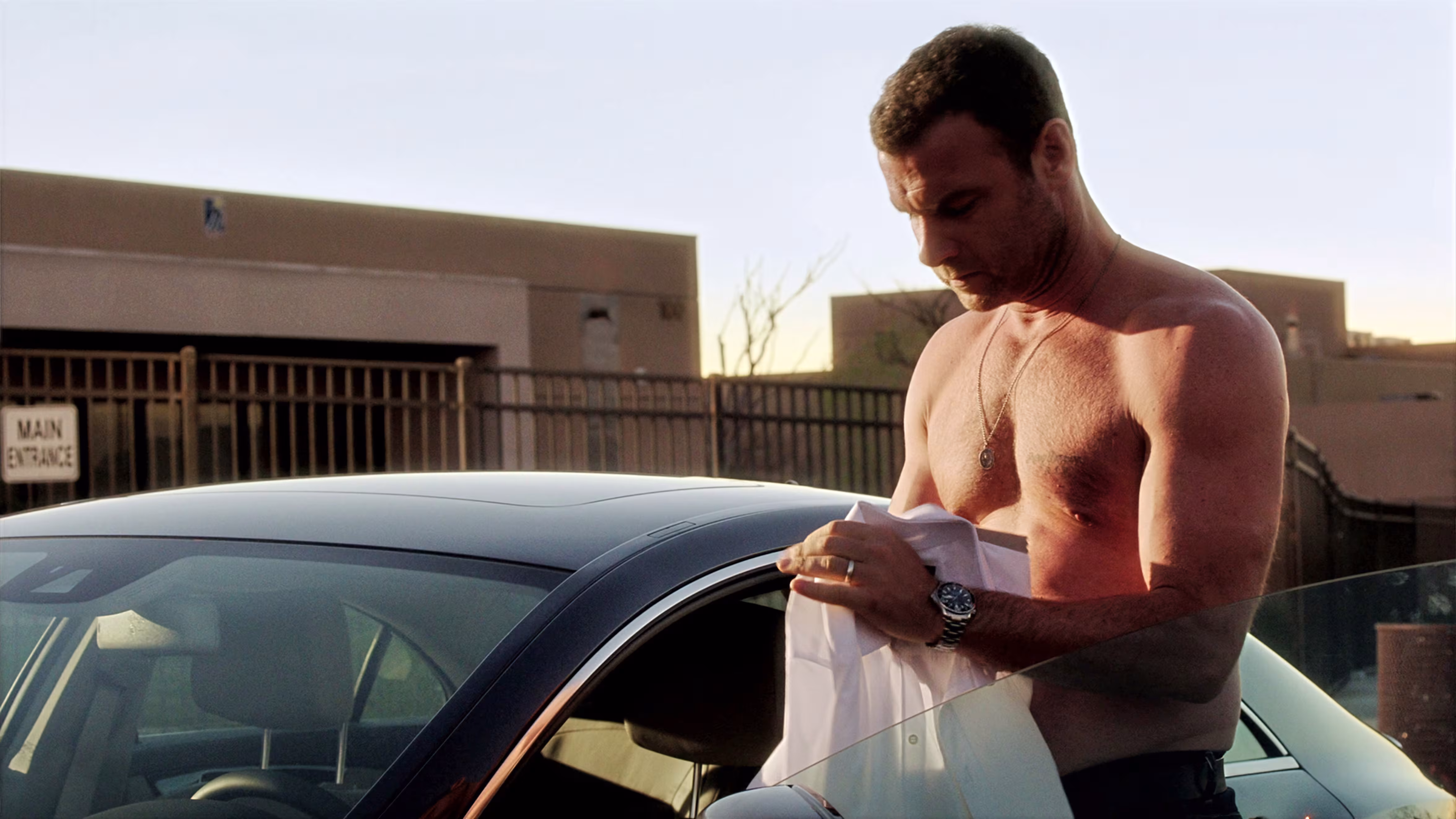Liev Schreiber wearing Omega Seamaster Professional in Ray Donovan